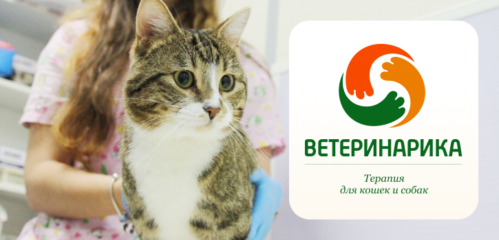 Ветеринарная терапия в Санкт-Петербурге