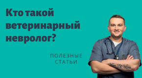 Кто такой ветеринарный врач-невролог?