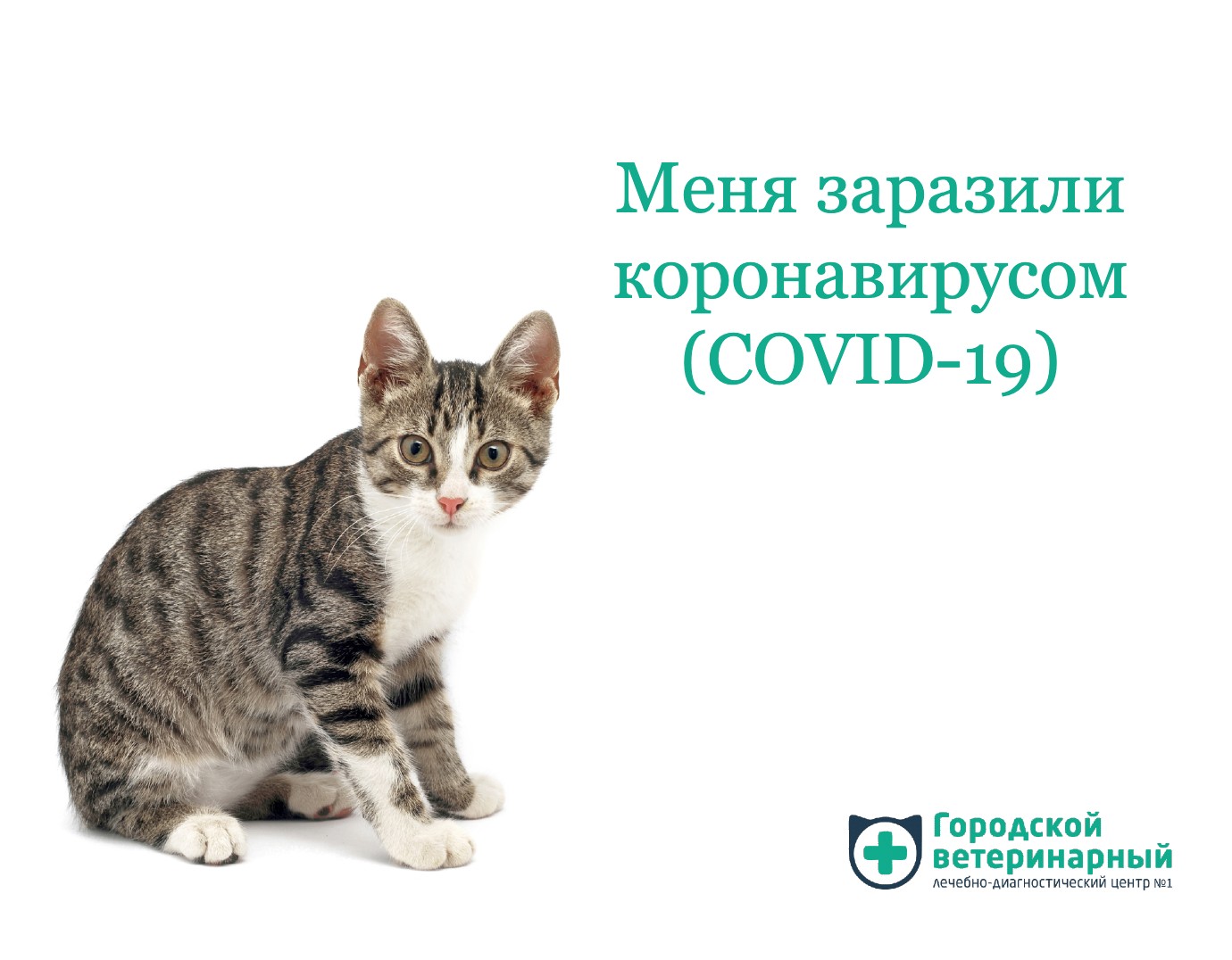 COVID-19 у животных