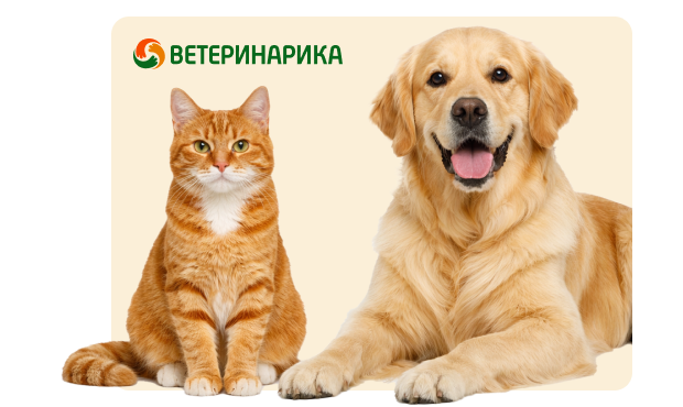 10% скидка