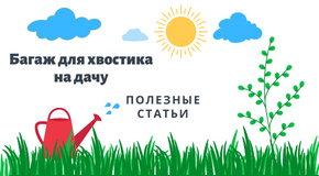 Багаж на дачу для счастливого питомца. Рекомендации
