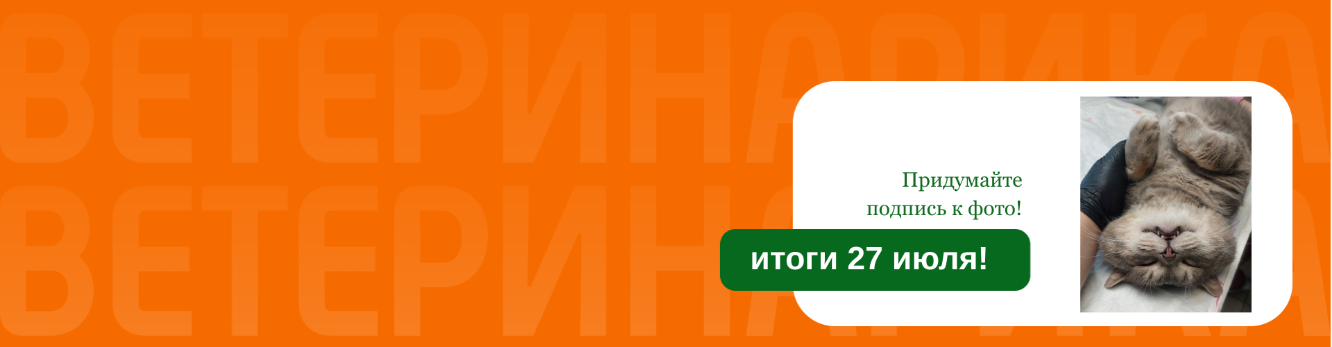 Стартовал конкурс