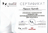 Пирогова Людмила Евгеньевна 20-29.11.2021