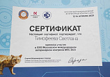 Тимофеева Светлана 12-14.04.2023