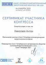 Николаев Антон 04-06.03.2021