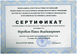 Воробьев Павел Владимирович 27.10.2015