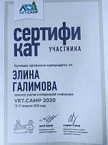 Галимова Элина 18-21.02.20