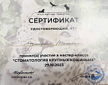 Кузнецова Татьяна 29.10.2023
