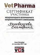 Переверзева Екатерина 02-03.09.2017