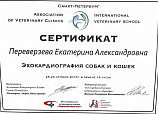 Переверзева Екатерина 25-26.10.17