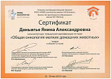 Даньингье Янина 16-19.05.2023