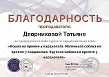 Дворникова Татьяна 2021