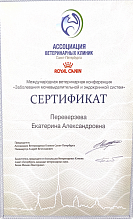 Переверзева Екатерина сертификат